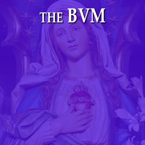 The BVM
